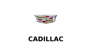 Vehicle Cadillac