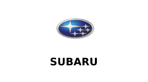 Vehicle Subaru